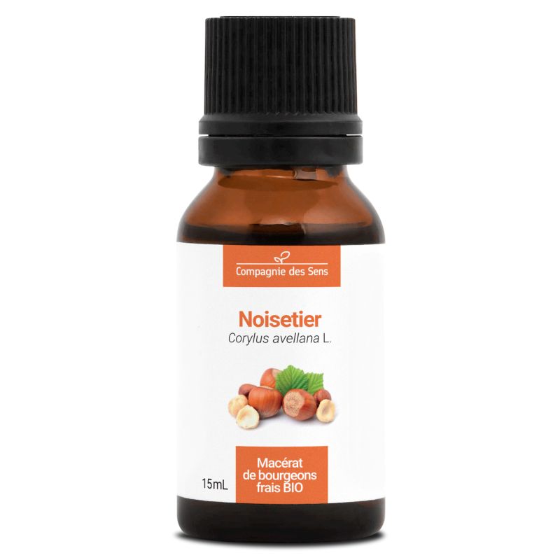 Macérat de bourgeons de Noisetier